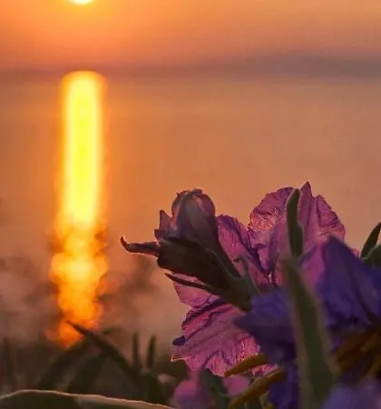 Niki House * Agios Nikolaos (Chalkidiki)