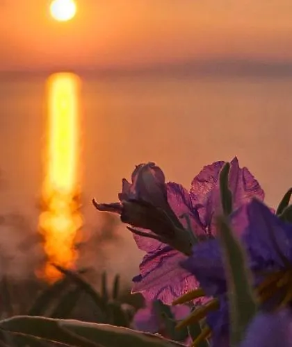 Niki House * Agios Nikolaos (Chalkidiki)